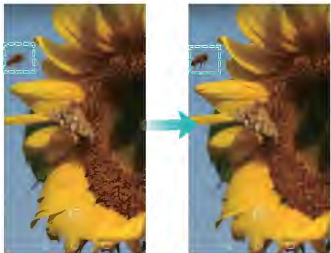 HUAWEI 6 2017 GRiScopic - Mode de mise au point intelligente - 1