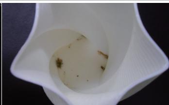 XYZ PRINTING DA VINCI 1.0c - Éché c de l'étaconnage ou objet imprimé pollué par des filaments de couleurs différentes - 3