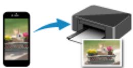 CANON TS8151 - Impression - 2
