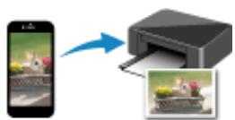 CANON TS8151 - Impression - 2