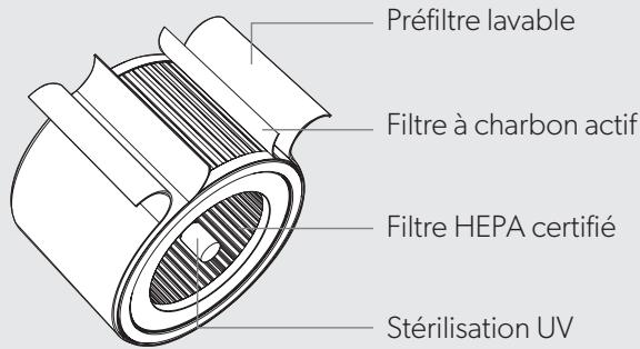 EDELEITZ TRUSENSZ-3000 - PRÉSENTATION DU PRODUIT - 3