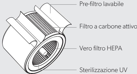 EDELEITZ TRUSENSZ-3000 - SINTESI DEL PRODOTTO - 3