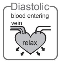 TERRAILLON TENSiOSMART - What are systolic pressure and diastolic pressure? - 2