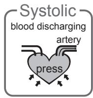 TERRAILLON TENSiOSMART - What are systolic pressure and diastolic pressure? - 1