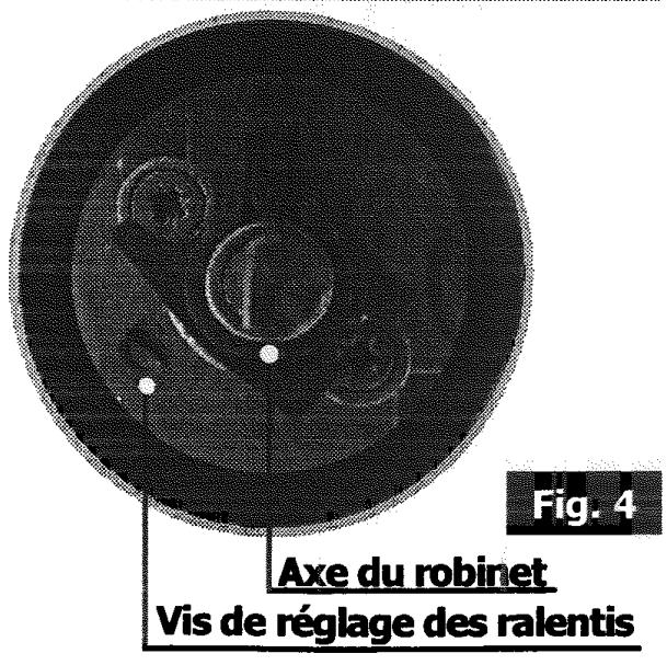 SAUTER STE 407 FF1 - PASSAGE DU GAZ BUTANE/PROPANE EN GAZ NATURE L'OU A L'AIR BUTANE/PROPANÉ - 3