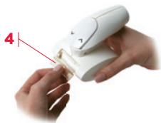 WELLBOX - Tete Roll ③ - 4