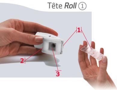 WELLBOX - Tete Roll ① - 1