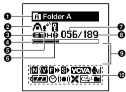 OLYMPUS DS 55 - Affichage (panneau LCD) - 1