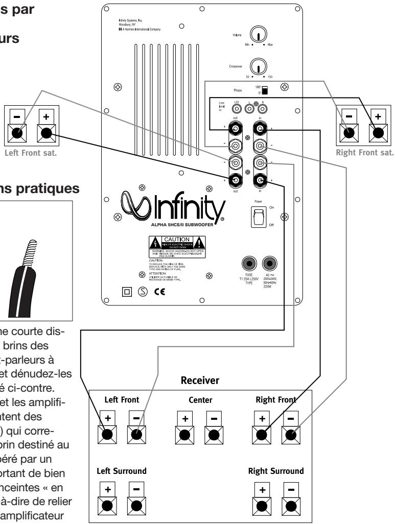 INFINITY ALPHA 5 HCS2 CHERRY - Branchement des enceintes - 1