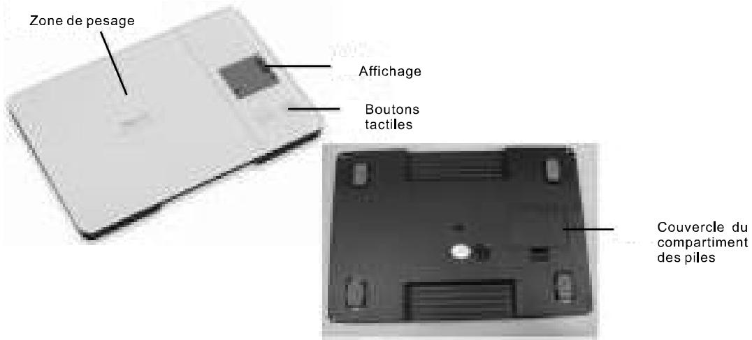 PROLINE KS15 - DESCRIPTION DU PRODUIT - 1
