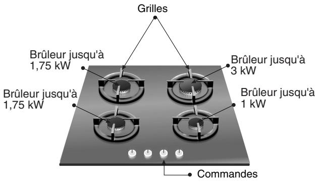 NEFF T63S45SO - Ainsi se présente votre table de cuisson : - 1