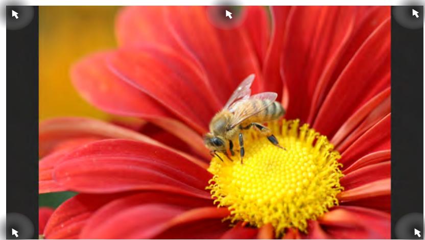 ASUS ET2220IUTI-BOO1K - Zones interactives d'une application en cours d'exécution - 1