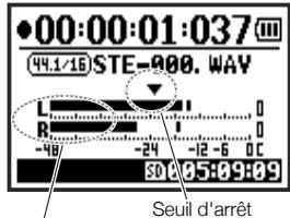 ZOOM H4nPro - CONSEIL : - 1