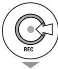 ZOOM H4nPro - Processus d'enregistrement - 2