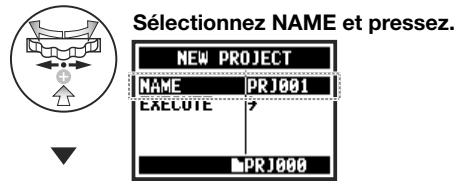 ZOOM H4nPro - CONSEIL : - 1