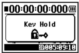 ZOOM H4nPro - Fonction HOLD - 2