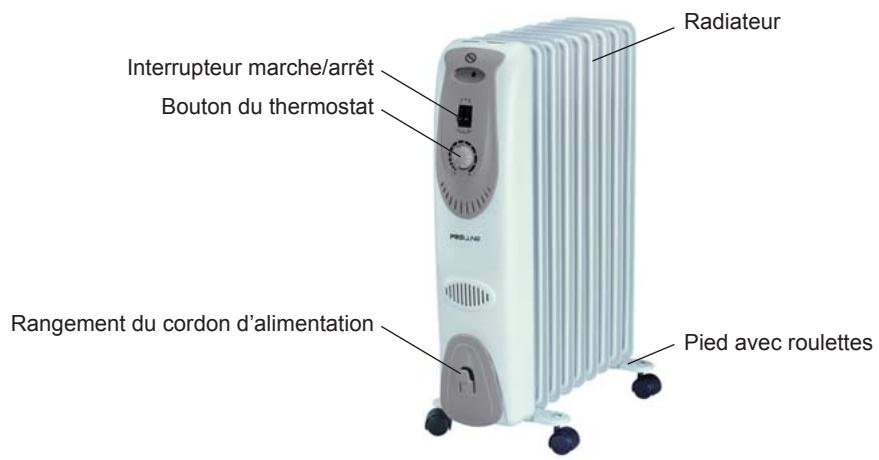 PROLINE OF29 - DESCRIPTION - 1
