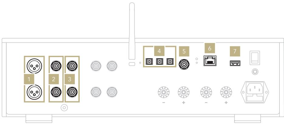 DARRYGOLD IS-1000 DELUXE - CONNEXION DE SOURCES VIA L'ENTREE NUMÉRIQUE - 1