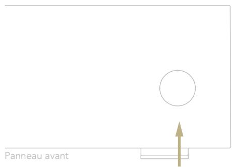 DARRYGOLD IS-1000 DELUXE - MISE EN MARCHE ET ARRÊT DU IS-1000 - 2