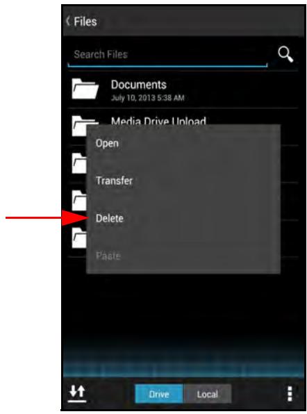 SANDISK COMMECT WIRELESS MEDIA DRIVE - Deleting Files and Folders - 1