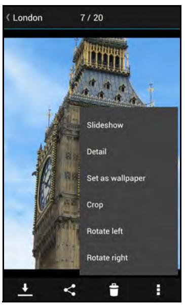 SANDISK COMMECT WIRELESS MEDIA DRIVE - Using the Photo Controls - 3