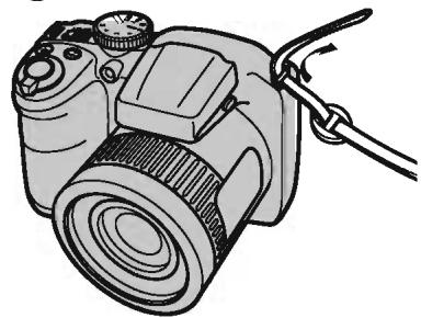FUJIFILM S4600+HOUSSE+SD 8GO - Fixation de la dragonne - 1