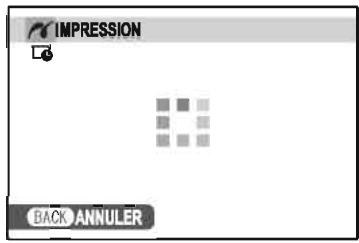FUJIFILM S4600+HOUSSE+SD 8GO - Pendant l'impression - 1