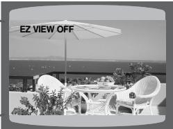 SAMSUNG HT-TP 33 NO/ARG - Appuyez sur la touche EZ VIEW. - 2