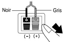 SAMSUNG HT-TP 33 NO/ARG - Arrière des enceintes - 2
