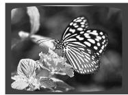 SAMSUNG HT-TP 33 NO/ARG - Fonction Rotation/Retourment - 1