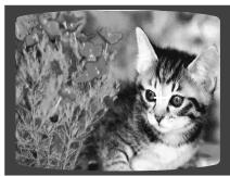 SAMSUNG HT-TP 33 NO/ARG - Fonction Digest (Abrégé) - 3