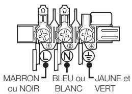 SAMSUNG NV66F2723BS - Branchement électrique - 1