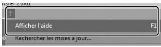 NIKON KIT 1 V1 10-30MM + 30-100 - Informations complémentaires - 1