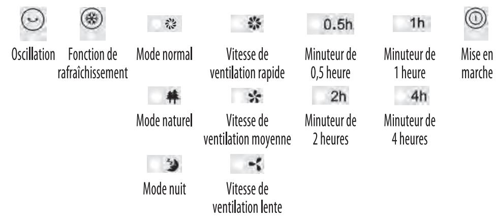 PROLINE EC8 - Manipulation et utilisation des piles - 7