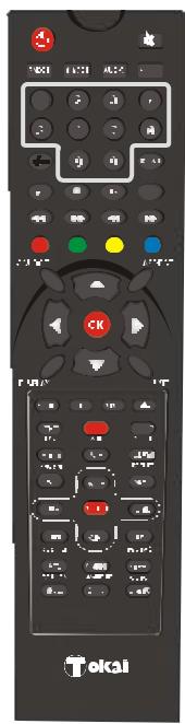 TOKA LTL-1912S/DVD - Accessoires fournis - 1