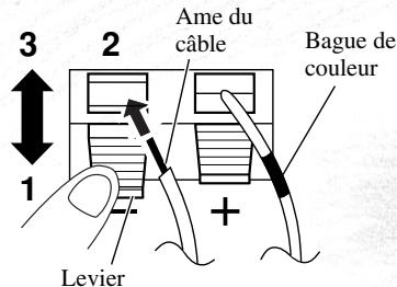 YAMAHA DVR-S 200S - Raccorder les enceintes et le téléviseur - 1