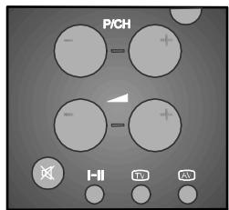 PROLINE LD 2602 - DUAL II - 1