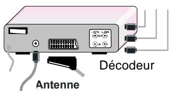 PROLINE LD 2602 - Raccordement de l'antenne - 4