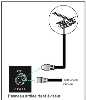 PROLINE LD 2602 - Raccordement à la prise d'antenne - 1