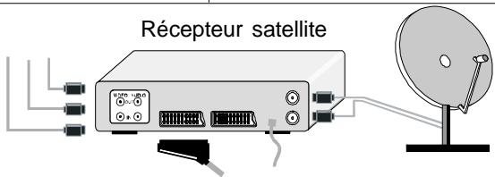 PROLINE LD 2602 - Raccordement de l'antenne - 5