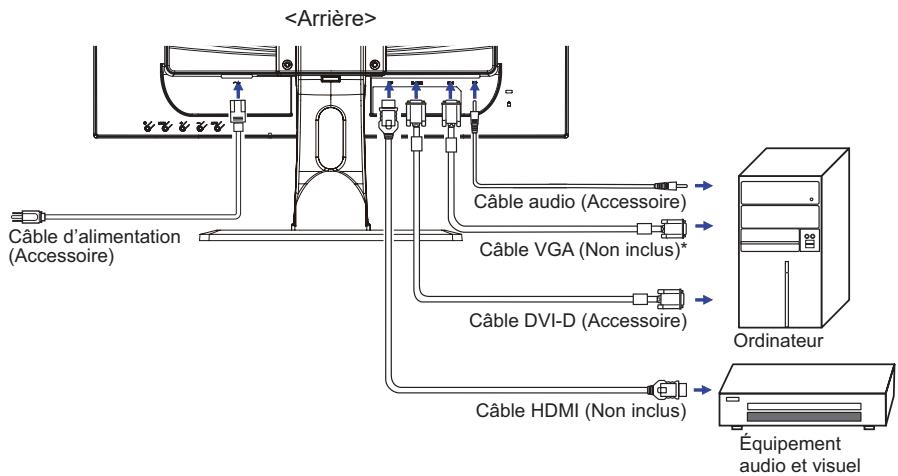 YAMAE CRANPROLITE X2481HS-B1 - NOTEZ - 1