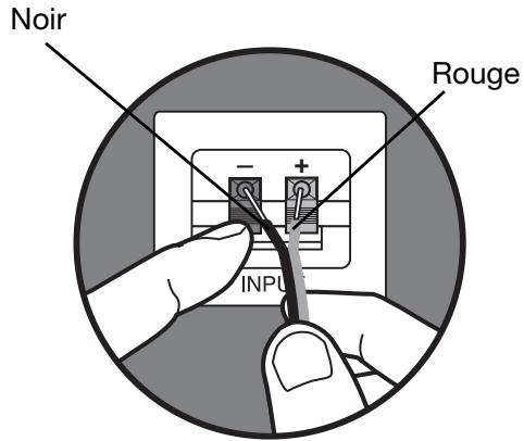 BOSER 201 SERIE V B - Raccordements des enceintes - 2