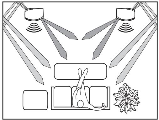 BOSER 201 SERIE V B - Différentes manières de profiter de ses enceintes - 1