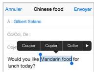 APPLE iPH 4S 8GO RECO BL - Modifier du texte - 2