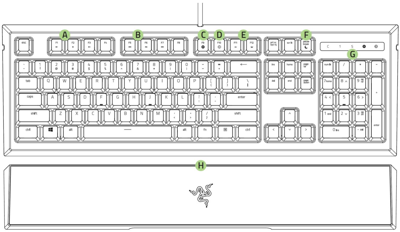 RAZER ORNATA CHROMA - DEVICE LAYOUT - 1