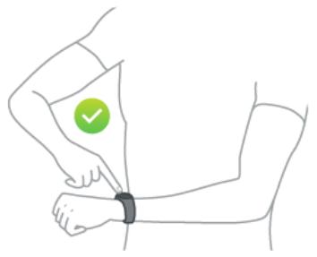 TOMTOM TOUCH FINAR - Mesurer la composition corporelle - 1