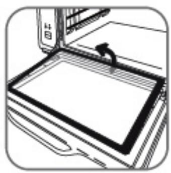 ROWENTA OC7850FR - • Démontage porte - 2