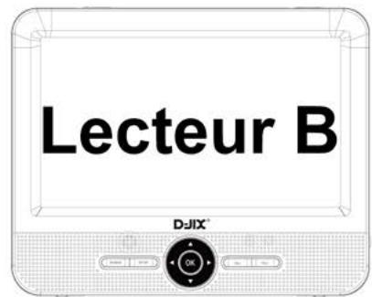 D-IIX PVS906-70DP - CONNEXION INTER-ECRAN - 3