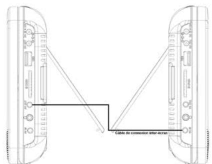 D-IIX PVS906-70DP - CONNEXION INTER-ECRAN - 2