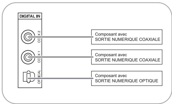SHERWOOD RD-6513 - RACCORDEMENT D'ENTREES NUMERIQUES (DIGITAL IN) - 1